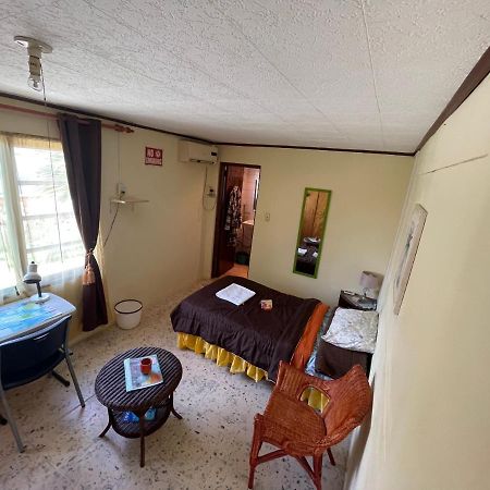 Aruba Backpackers Apartamento Oranjestad Exterior foto