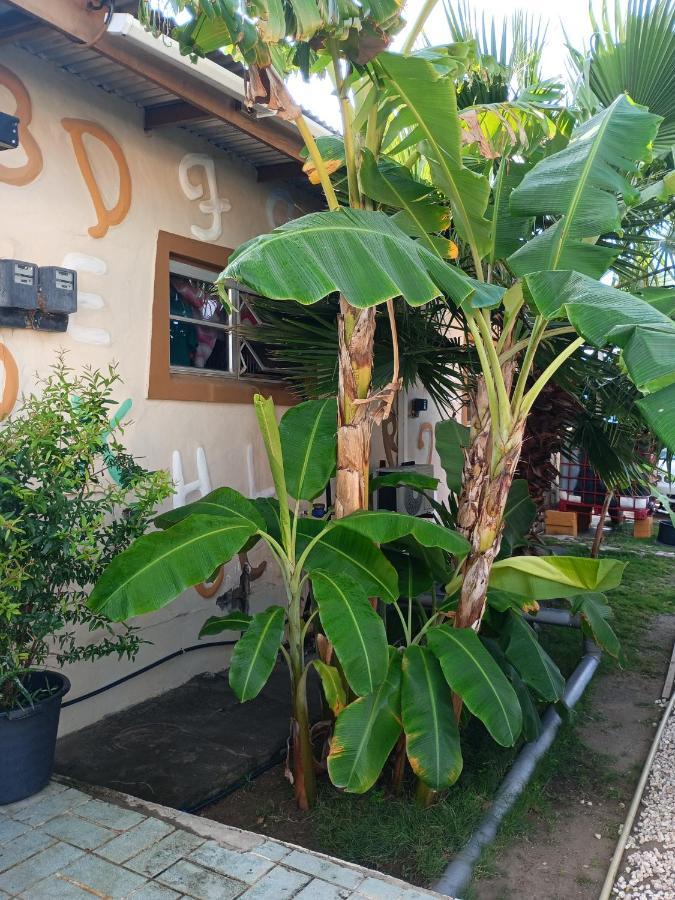 Aruba Backpackers Apartamento Oranjestad Exterior foto