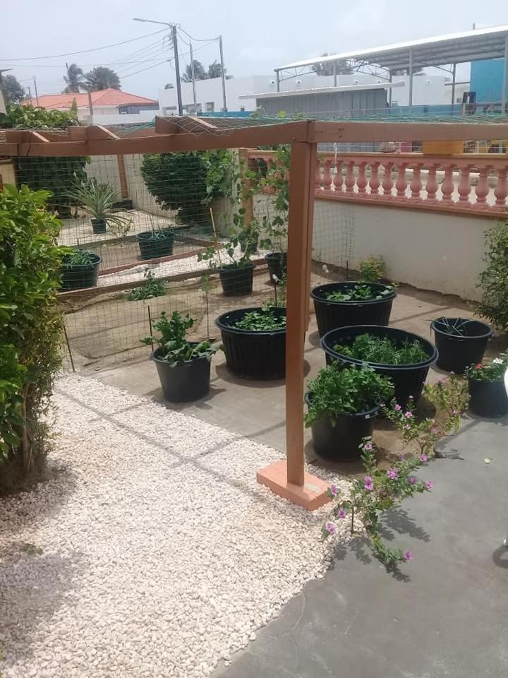 Aruba Backpackers Apartamento Oranjestad Exterior foto
