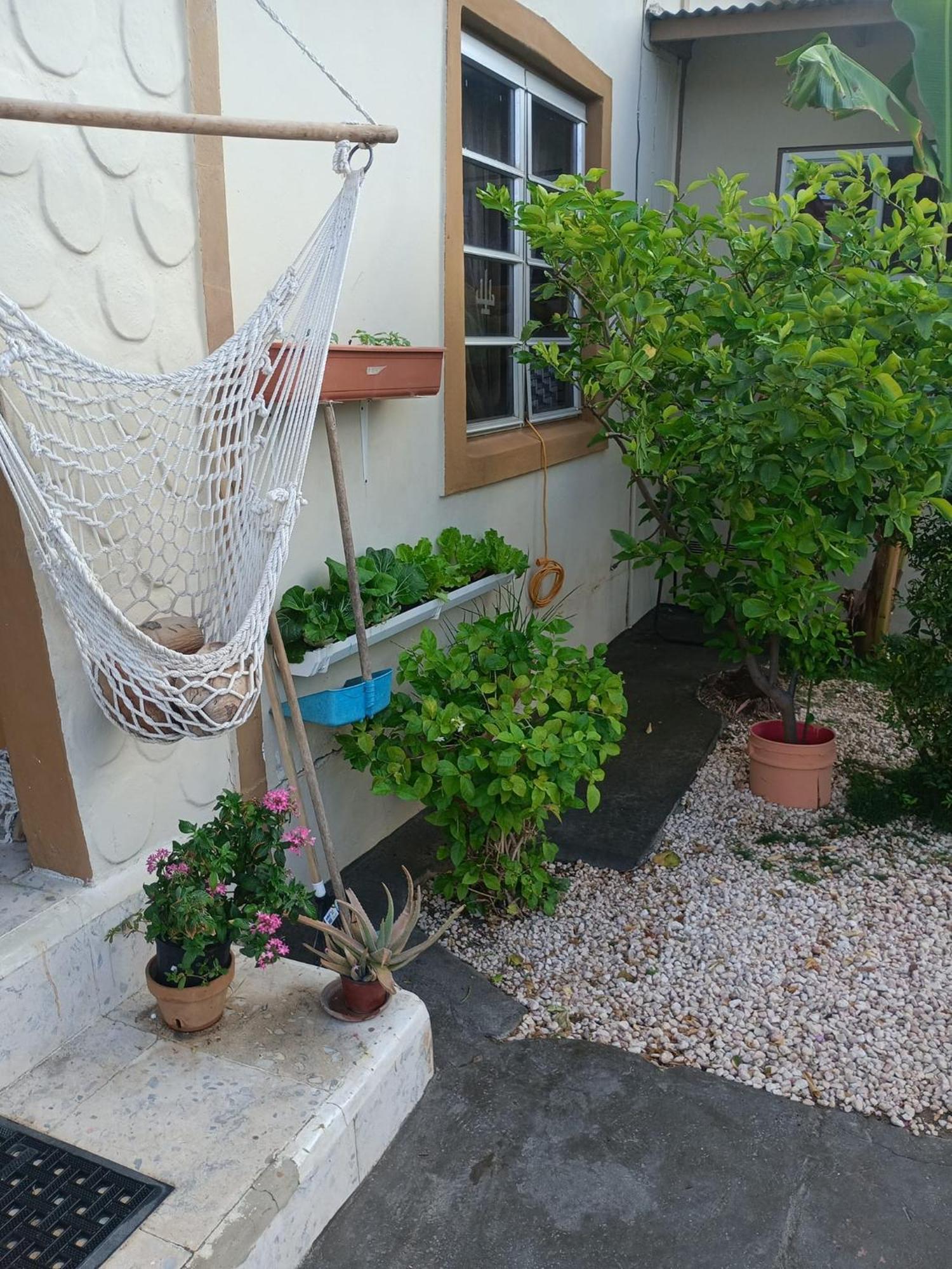 Aruba Backpackers Apartamento Oranjestad Exterior foto